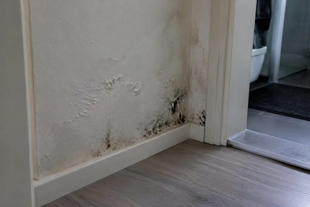 Lekdetectie Laren – vochtplek met schimmel op een muur